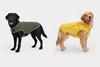 HeatedPetCollection