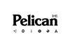 Pelican_International_Pelican_Intl_Inc__Acquires_Assets_of_Pelic