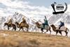 Camels-Expedition_Into-Altai_(c)Soren-Rickards_Mongolia