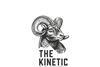 the kinetic group