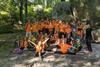 Mountain Days for Children a