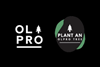Plant an Olpro Tree