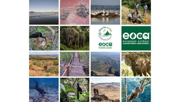 EOCA launches three-part Earth Day fundraising campaign | Article ...