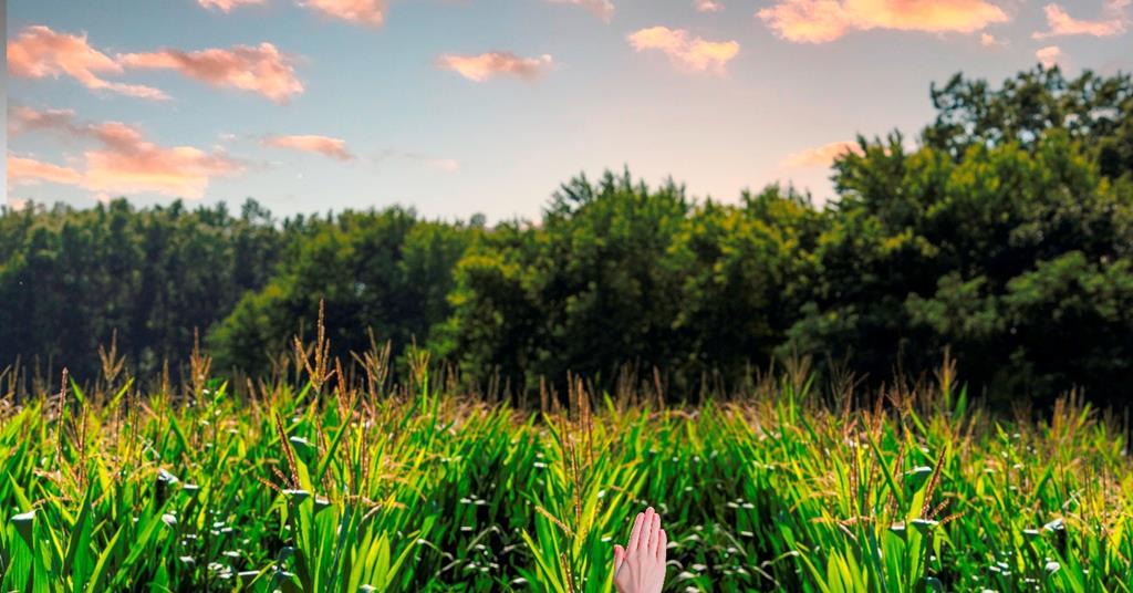 Lycra launches campaign for new bio-derived Lycra fiber | Article ...