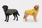 HeatedPetCollection
