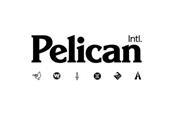 Pelican_International_Pelican_Intl_Inc__Acquires_Assets_of_Pelic