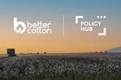 Better Cotton Joins Policy Hub