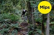 mips-ab-q2-interim-report-january-june-2026-1