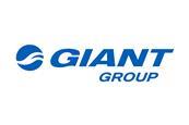 Giant Group Logo