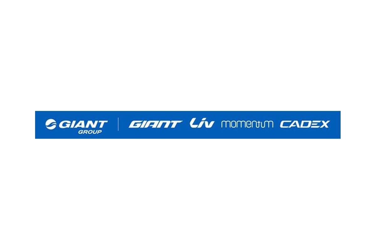 Giant liv 2025 momentum