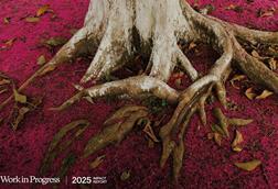 patagonia-progress-report-2025s-1