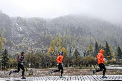 image_5052542_33364500