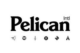 Pelican_Intl_Inc__Pelican_Intl_Inc__Acquires_KL_Companies__KL_Ou