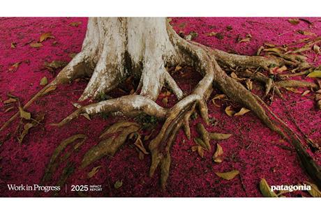 patagonia-progress-report-2025s-1