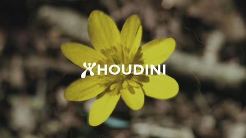 Houdini Forward-to-nature-cover-flower-16x9